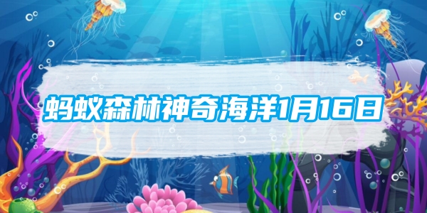 北方地区常说的海虹是哪种海洋生物-1月16日最新神秘海洋问题答案分享